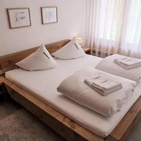 Utoring Acletta-2 By Interhome Disentis