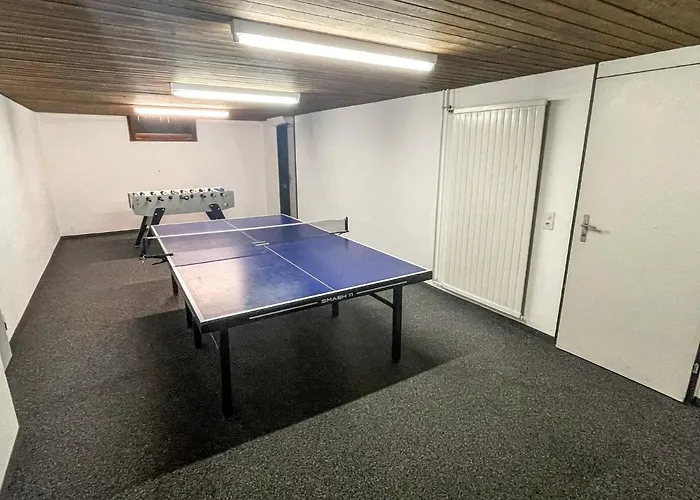 D 016 By Interhome * Disentis