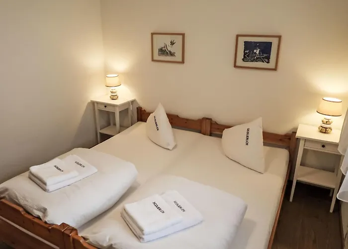 아파트 D 016 By Interhome *