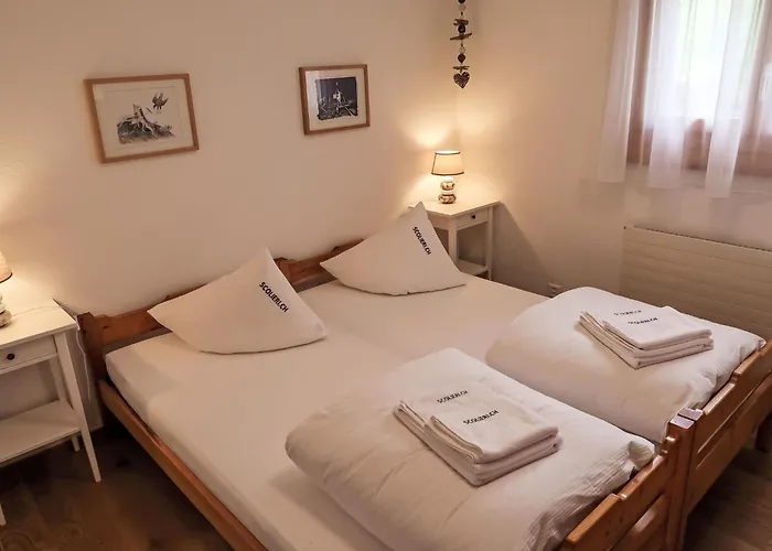 Apartamento D 016 By Interhome Disentis