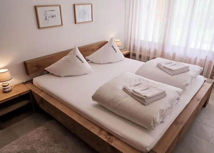 D 016 By Interhome Disentis